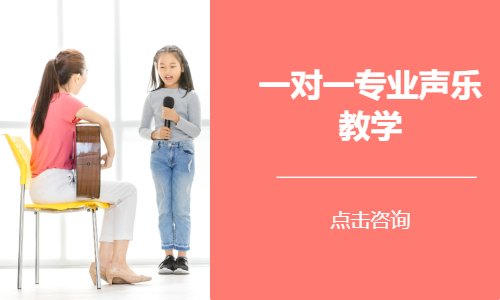 一对一专业声乐教学